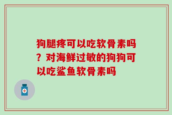 狗腿疼可以吃软骨素吗？对海鲜过敏的狗狗可以吃鲨鱼软骨素吗