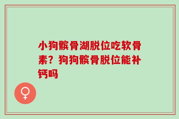 小狗髌骨湖脱位吃软骨素？狗狗髌骨脱位能补钙吗