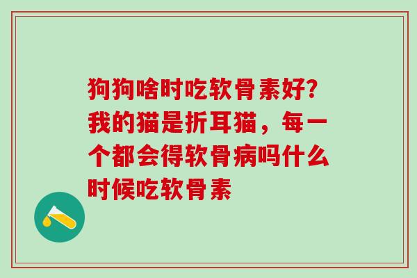狗狗啥时吃软骨素好?我的猫是折耳猫,每一个都会得软骨吗什么时候吃软骨素 狗狗啥时吃软骨素好?我的猫是折耳猫,每一个都会得软骨吗什么时候吃软骨素