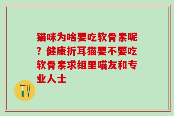 猫咪为啥要吃软骨素呢？健康折耳猫要不要吃软骨素求组里喵友和专业人士