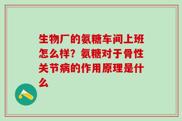 生物厂的氨糖车间上班怎么样？氨糖对于骨性关节病的作用原理是什么