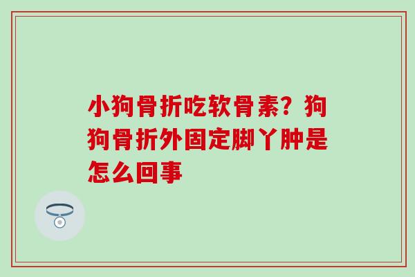 小狗骨折吃软骨素？狗狗骨折外固定脚丫肿是怎么回事