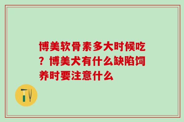博美软骨素多大时候吃？博美犬有什么缺陷饲养时要注意什么