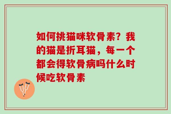 如何挑猫咪软骨素？我的猫是折耳猫，每一个都会得软骨病吗什么时候吃软骨素