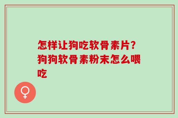 怎样让狗吃软骨素片？狗狗软骨素粉末怎么喂吃