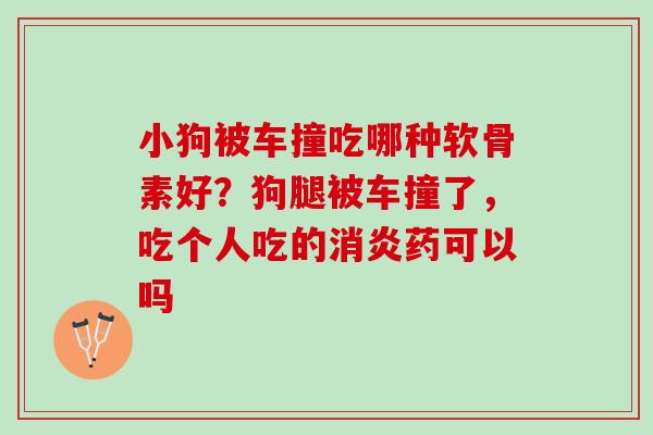 小狗被车撞吃哪种软骨素好？狗腿被车撞了，吃个人吃的消炎药可以吗