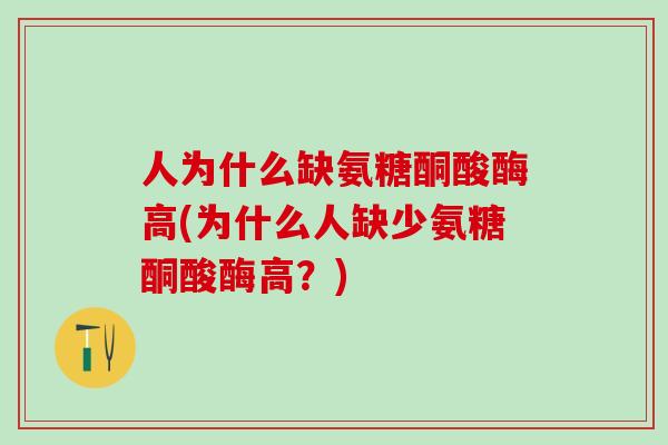 人为什么缺氨糖酮酸酶高(为什么人缺少氨糖酮酸酶高？)