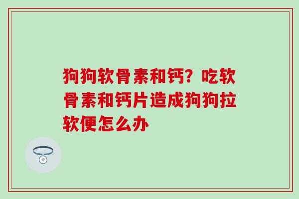 狗狗软骨素和钙？吃软骨素和钙片造成狗狗拉软便怎么办