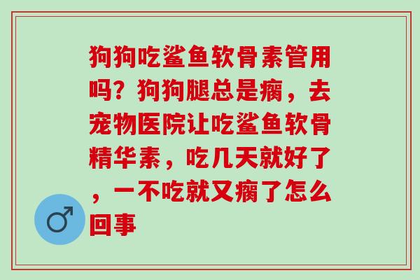 狗狗吃鲨鱼软骨素管用吗？狗狗腿总是瘸，去宠物医院让吃鲨鱼软骨精华素，吃几天就好了，一不吃就又瘸了怎么回事
