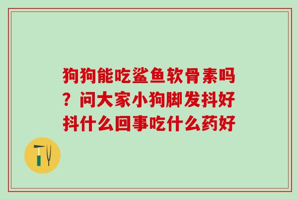 狗狗能吃鲨鱼软骨素吗？问大家小狗脚发抖好抖什么回事吃什么药好