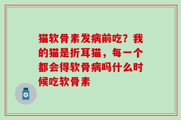 猫软骨素发前吃？我的猫是折耳猫，每一个都会得软骨吗什么时候吃软骨素