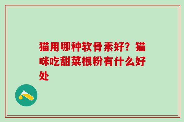 猫用哪种软骨素好？猫咪吃甜菜根粉有什么好处