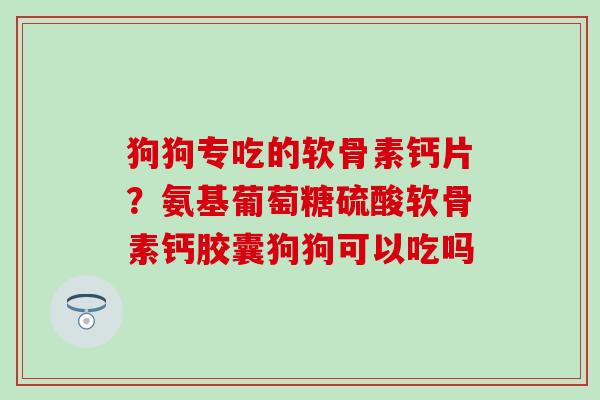 狗狗专吃的软骨素钙片？氨基葡萄糖硫酸软骨素钙胶囊狗狗可以吃吗