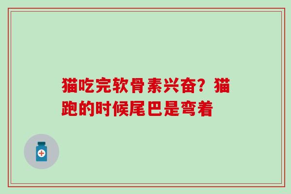 猫吃完软骨素兴奋？猫跑的时候尾巴是弯着