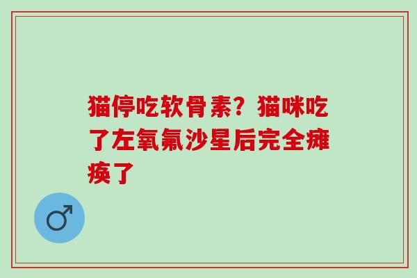 猫停吃软骨素？猫咪吃了左氧氟沙星后完全瘫痪了