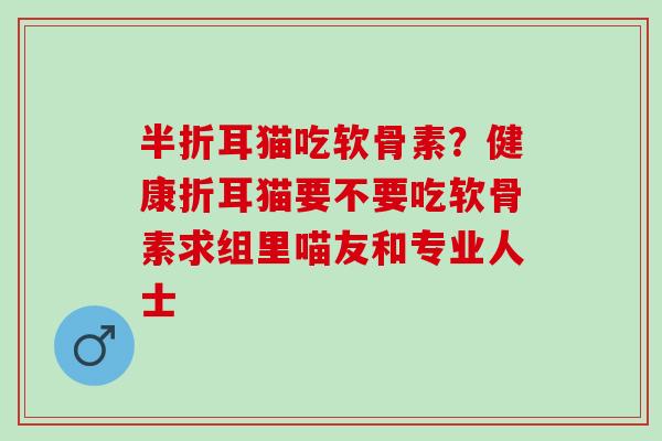 半折耳猫吃软骨素？健康折耳猫要不要吃软骨素求组里喵友和专业人士