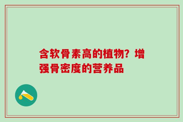 含软骨素高的植物？增强骨密度的营养品
