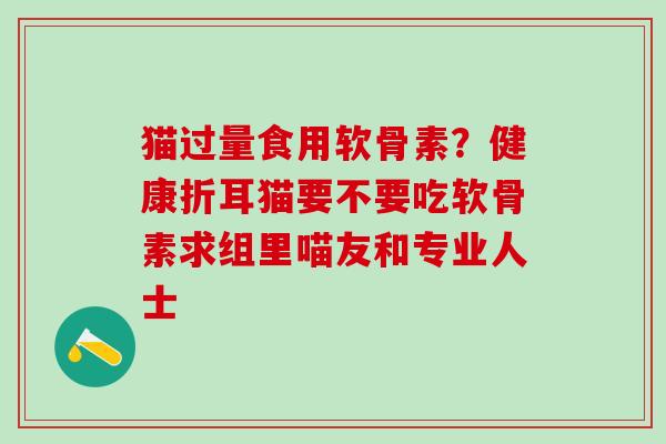 猫过量食用软骨素？健康折耳猫要不要吃软骨素求组里喵友和专业人士