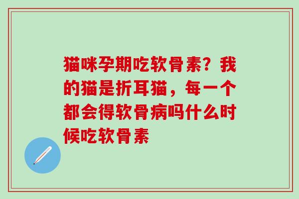 猫咪孕期吃软骨素？我的猫是折耳猫，每一个都会得软骨病吗什么时候吃软骨素