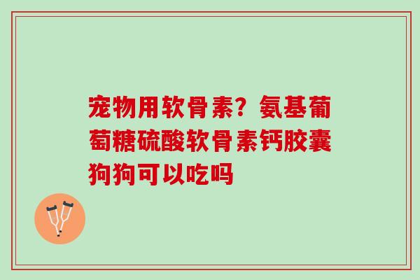 宠物用软骨素？氨基葡萄糖硫酸软骨素钙胶囊狗狗可以吃吗