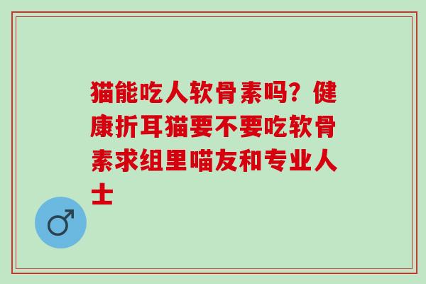 猫能吃人软骨素吗？健康折耳猫要不要吃软骨素求组里喵友和专业人士