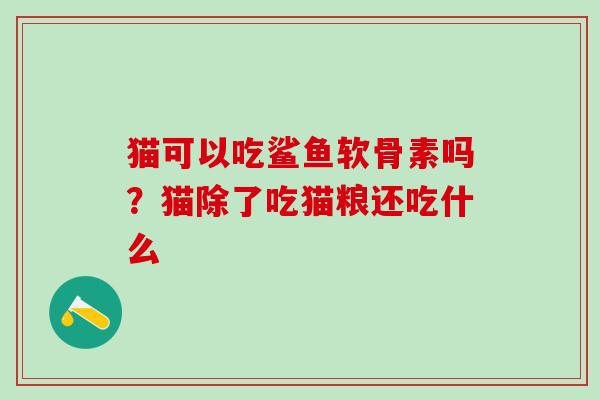 猫可以吃鲨鱼软骨素吗？猫除了吃猫粮还吃什么