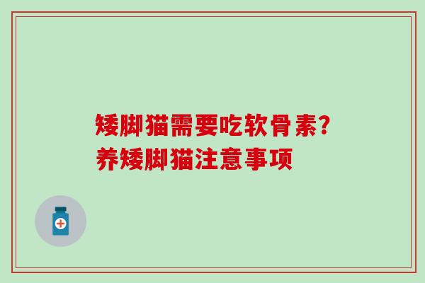矮脚猫需要吃软骨素？养矮脚猫注意事项