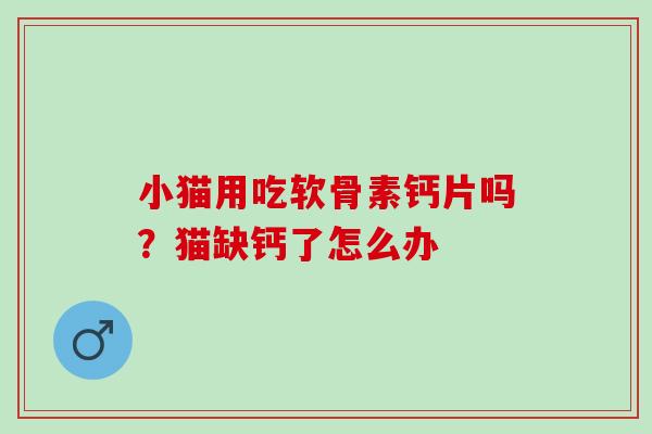 小猫用吃软骨素钙片吗？猫缺钙了怎么办