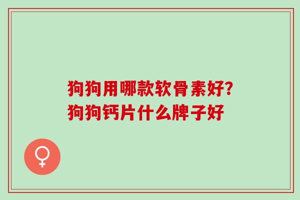 狗狗用哪款软骨素好？狗狗钙片什么牌子好