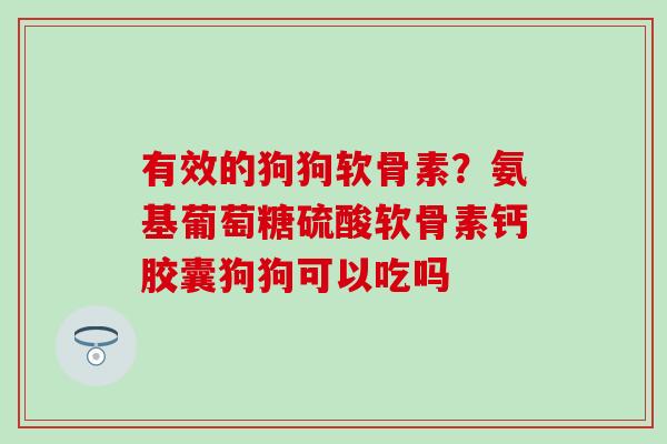 有效的狗狗软骨素？氨基葡萄糖硫酸软骨素钙胶囊狗狗可以吃吗
