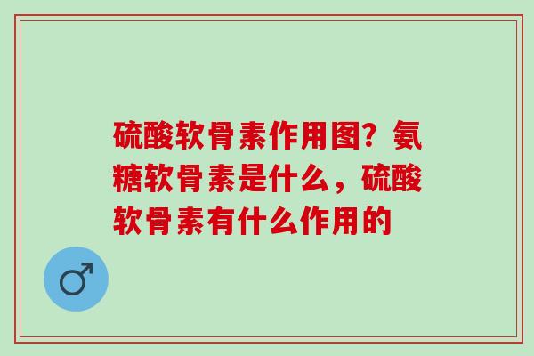 硫酸软骨素作用图？氨糖软骨素是什么，硫酸软骨素有什么作用的