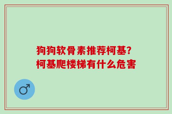 狗狗软骨素推荐柯基？柯基爬楼梯有什么危害