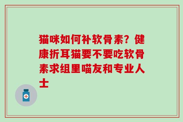 猫咪如何补软骨素？健康折耳猫要不要吃软骨素求组里喵友和专业人士