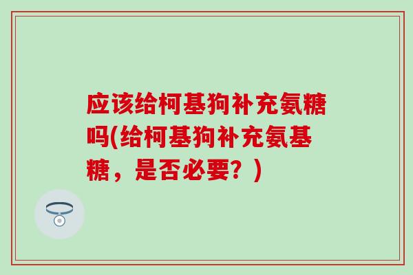 应该给柯基狗补充氨糖吗(给柯基狗补充氨基糖，是否必要？)