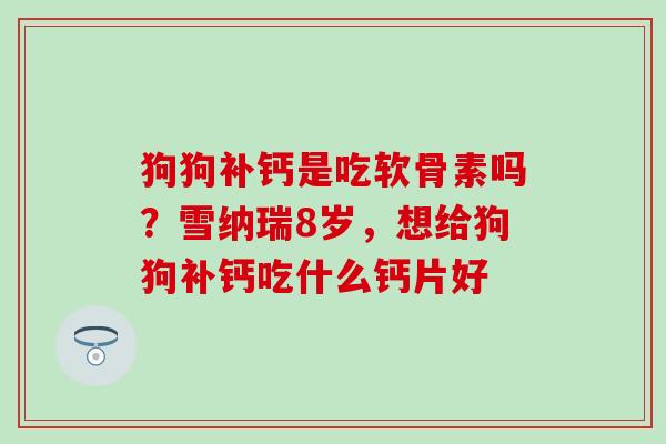 狗狗补钙是吃软骨素吗？雪纳瑞8岁，想给狗狗补钙吃什么钙片好