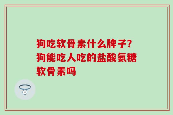 狗吃软骨素什么牌子?狗能吃人吃的盐酸氨糖软骨素吗 狗吃软骨素什么牌子?狗能吃人吃的盐酸氨糖软骨素吗