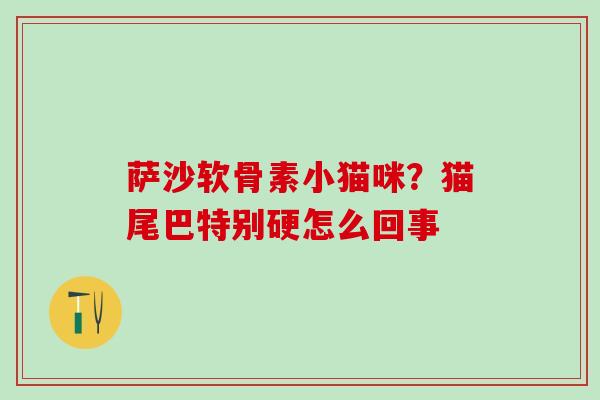 萨沙软骨素小猫咪？猫尾巴特别硬怎么回事
