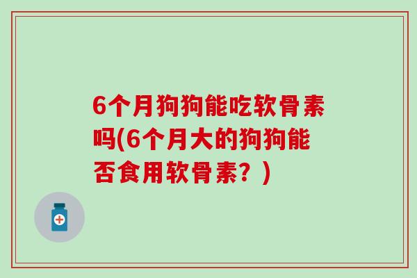 6个月狗狗能吃软骨素吗(6个月大的狗狗能否食用软骨素？)