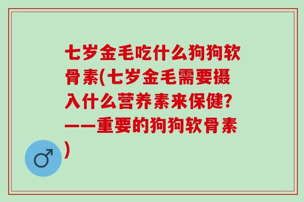七岁金毛吃什么狗狗软骨素(七岁金毛需要摄入什么营养素来保健？——重要的狗狗软骨素)