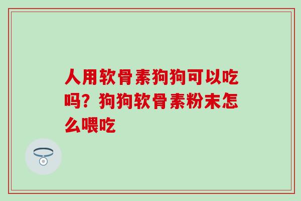 人用软骨素狗狗可以吃吗？狗狗软骨素粉末怎么喂吃