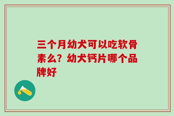 三个月幼犬可以吃软骨素么？幼犬钙片哪个品牌好