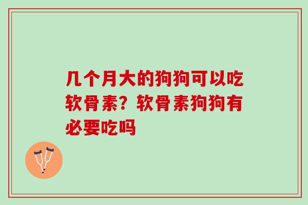 几个月大的狗狗可以吃软骨素？软骨素狗狗有必要吃吗