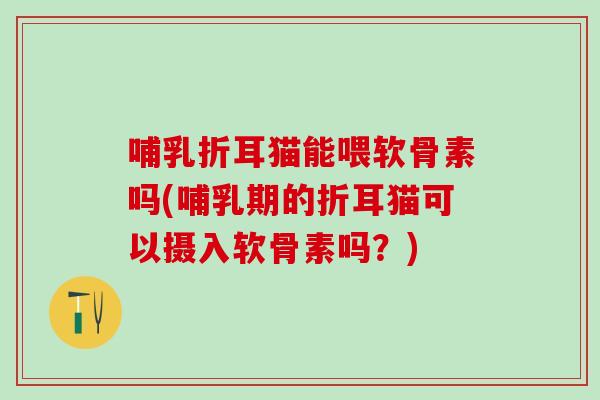 哺乳折耳猫能喂软骨素吗(哺乳期的折耳猫可以摄入软骨素吗？)