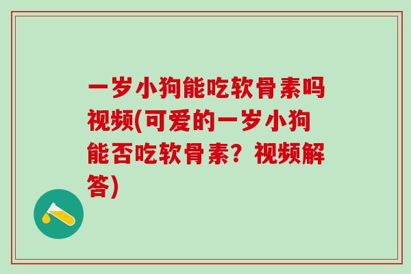 一岁小狗能吃软骨素吗视频(可爱的一岁小狗能否吃软骨素？视频解答)