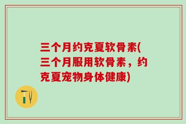 三个月约克夏软骨素(三个月服用软骨素，约克夏宠物身体健康)