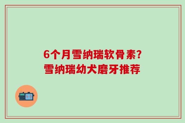 6个月雪纳瑞软骨素？雪纳瑞幼犬磨牙推荐