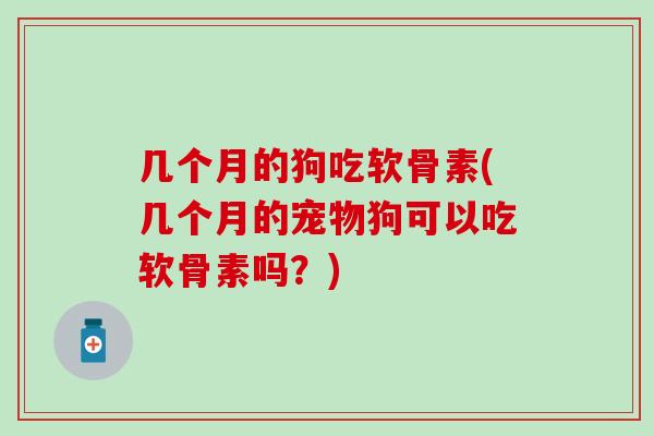 几个月的狗吃软骨素(几个月的宠物狗可以吃软骨素吗？)