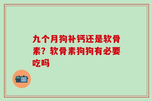 九个月狗补钙还是软骨素？软骨素狗狗有必要吃吗