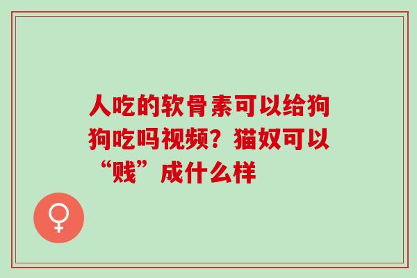 人吃的软骨素可以给狗狗吃吗视频？猫奴可以“贱”成什么样