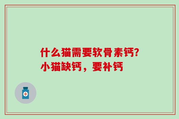 什么猫需要软骨素钙?小猫缺钙,要补钙 什么猫需要软骨素钙?小猫缺钙,要补钙